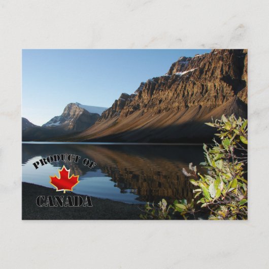 Bow Lake & Glacier Briefkaart (Voorkant)