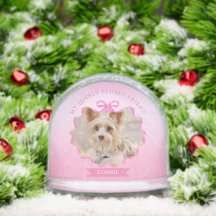 Bow Ribbon Glittering Pet Memory Foto Roze