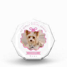Bow Ribbon Pet Memory Foto Roze