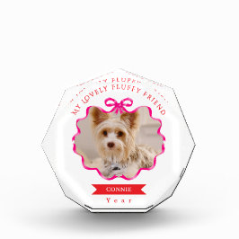 Bow Ribbon Pet Memory Photo Red Fotoblokken