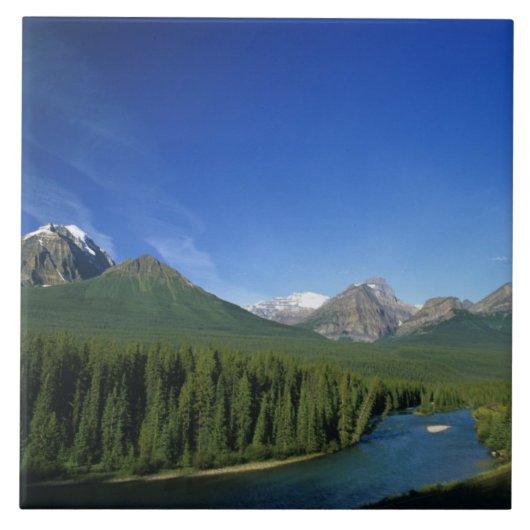 Bow-rivier bij Nationaal park Banff in Alberta Tegeltje (Voorkant)