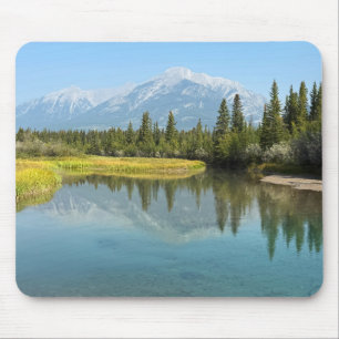 Bow-rivier in Canmore Canada Muismat