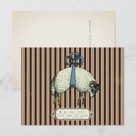  Bow Sheep™ Collectie - Briefkaart (Voorkant / Achterkant)