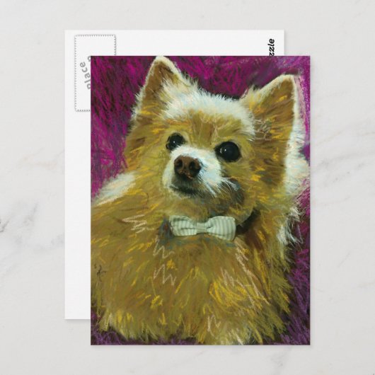 Bow Stropdas #2 Briefkaart (Voorkant / Achterkant)