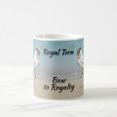 Bow to Royalty Royal Terns Seabirds Coastal Koffiemok (Center)