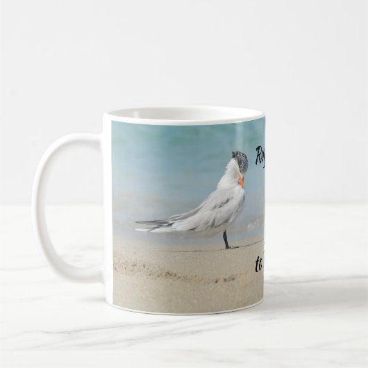 Bow to Royalty Royal Terns Seabirds Coastal Koffiemok (Links)