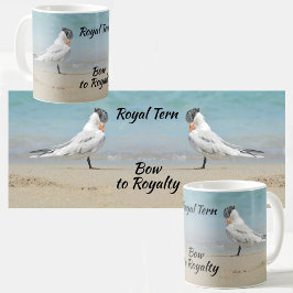 Bow to Royalty Royal Terns Seabirds Coastal Koffiemok