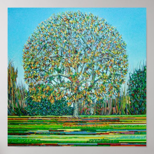 Bow Tree Autumn Poster (Voorkant)