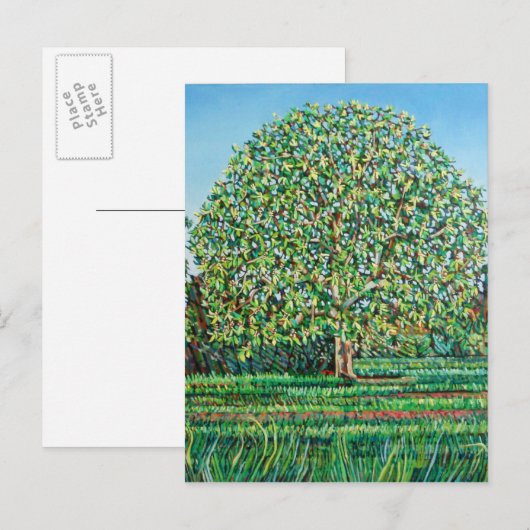 Bow Tree Spring Briefkaart (Voorkant / Achterkant)