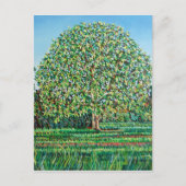 Bow Tree Spring Briefkaart (Voorkant)