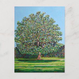 Bow Tree Summer Briefkaart