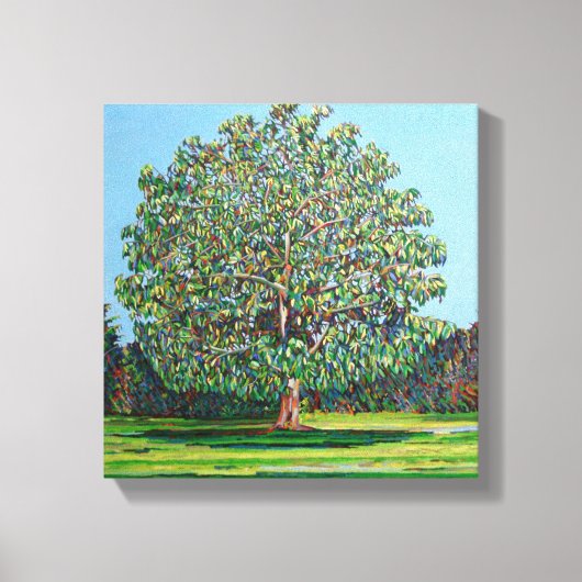 Bow Tree Summer Canvas Afdruk (Voorkant)