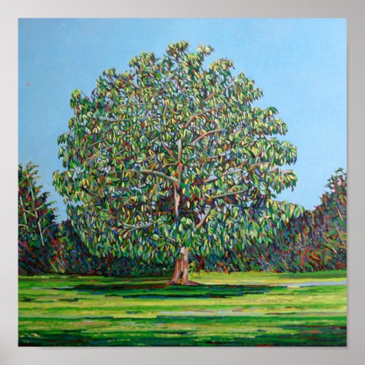 Bow Tree Summer Poster (Voorkant)