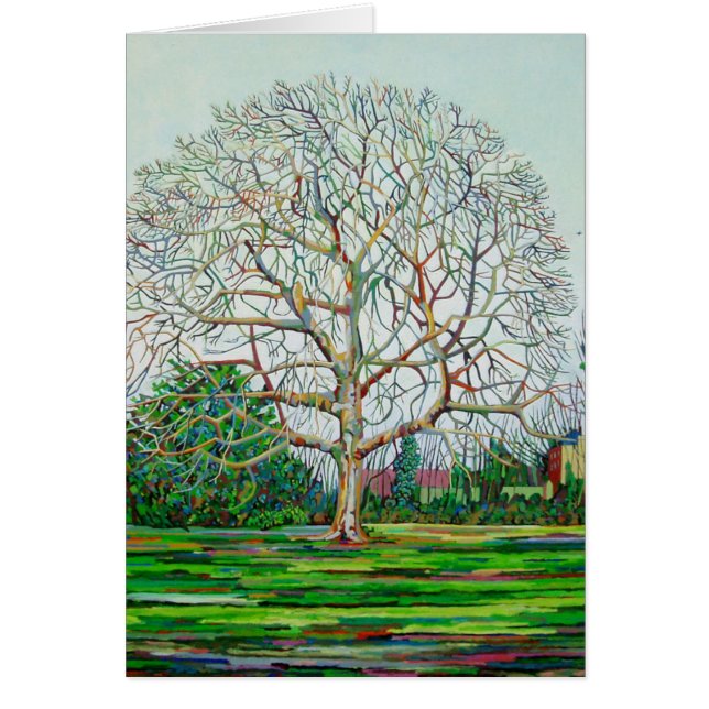 Bow Tree Winter (Voorkant)