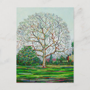 Bow Tree Winter Briefkaart