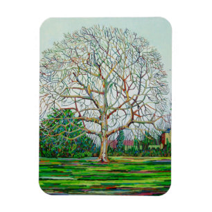Bow Tree Winter Magneet