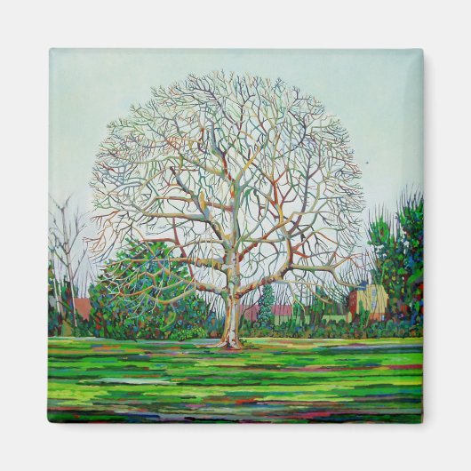 Bow Tree Winter Magneet (Voorkant)