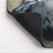 Bowdie - Sky Blue Aussie Muismat (Hoek)