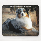 Bowdie - Sky Blue Aussie Muismat (Voorkant)