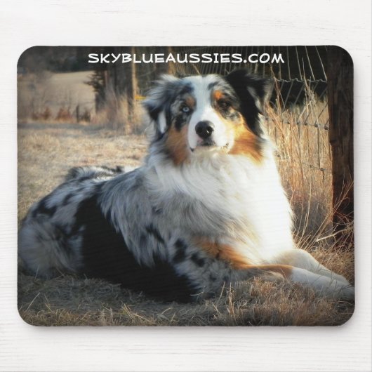 Bowdie - Sky Blue Aussie Muismat (Voorkant)