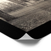 Bowdoin College, Maine Foto 1910 Poster (Hoek)