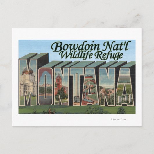 Bowdoin Nat'l Wildlife Refuge, Montana Briefkaart (Voorkant)