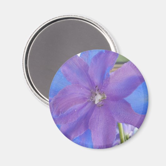 Bowen Magneet (Voorkant / Achterkant)