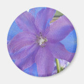 Bowen Magneet (Voorkant)