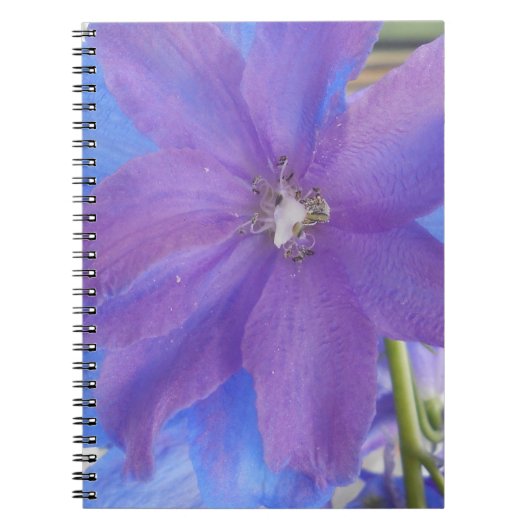 Bowen Notitieboek (Voorkant)