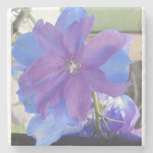 Bowen Stenen Onderzetter (Voorkant)