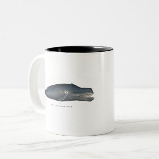 Bowhale Tweekleurige Koffiemok (Voorkant links)