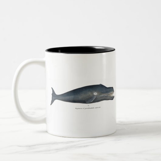Bowhale Tweekleurige Koffiemok (Links)
