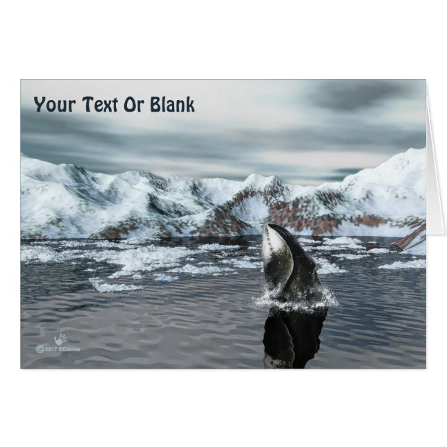 Bowiad Whale (Voorkant Horizontaal)