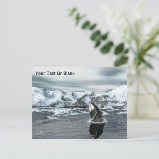 Bowiad Whale Briefkaart (Staand voorkant)