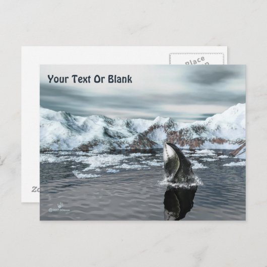 Bowiad Whale Briefkaart (Voorkant / Achterkant)