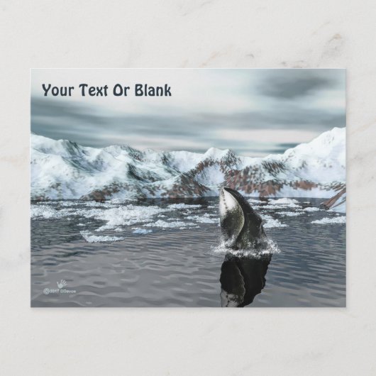 Bowiad Whale Briefkaart (Voorkant)