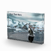 Bowiad Whale Fotoblokken (Rechts)