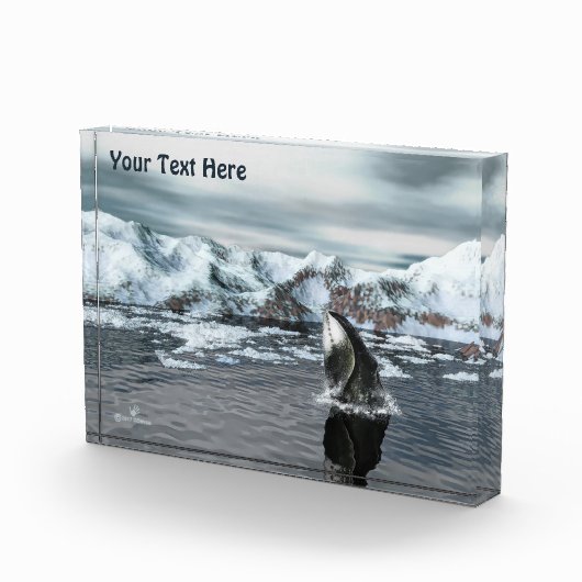 Bowiad Whale Fotoblokken (Rechts)