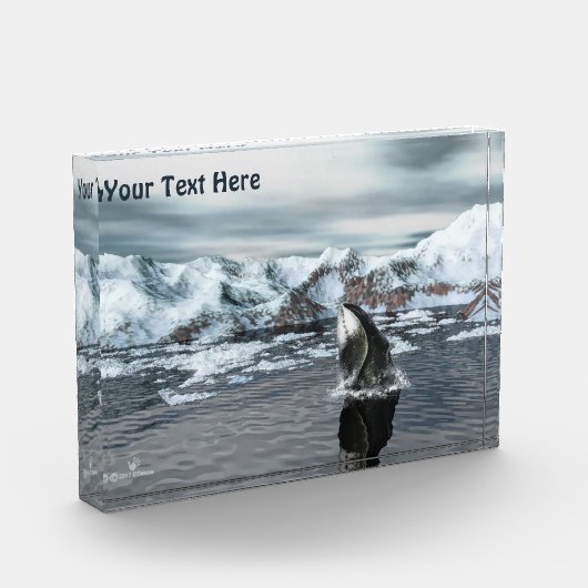 Bowiad Whale Fotoblokken (Links)