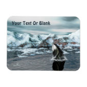 Bowiad Whale Magneet (Horizontaal)