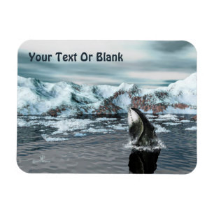 Bowiad Whale Magneet