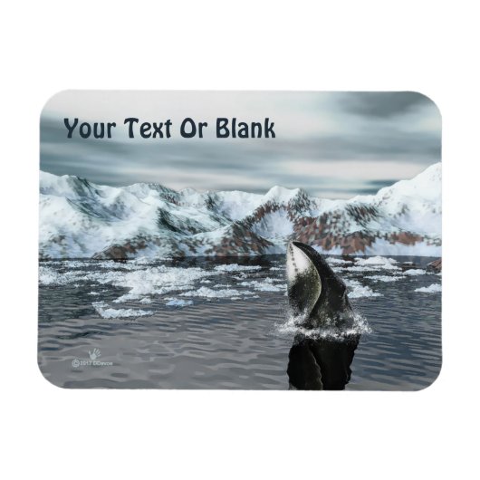 Bowiad Whale Magneet (Horizontaal)