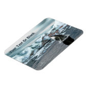 Bowiad Whale Magneet (Linkerzijde)