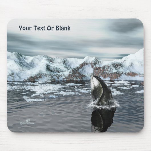 Bowiad Whale Muismat (Voorkant)