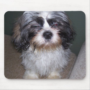 Bowie the Fuzzy Shih Tzu Puppy Mousepad Muismat