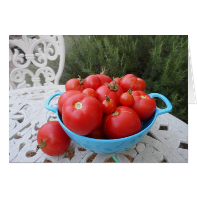 Bowl tomaten (Voorkant Horizontaal)