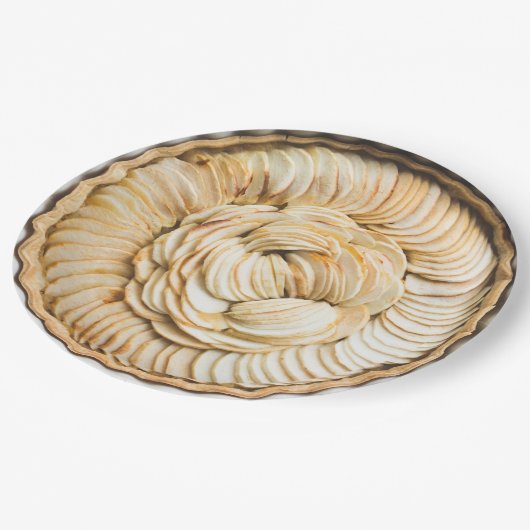 Bowl van aardappelchips Borden voor wegwerppapier Papieren Bordje (Gekanteld)