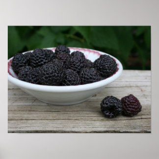 Bowl van Garden Fresh Black frambozen Poster