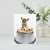 Bowl van honden door Yorkshire Terrier Briefkaart (Staand voorkant)