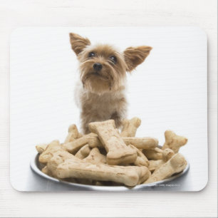 Bowl van hondenbehandelingen van Yorkshire Terrier Muismat